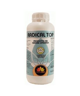 Radical Top